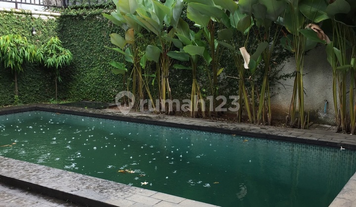 Beautiful ready-to-occupy house in South Kemang Beautiful ready-to-occupy house in South Kemang
