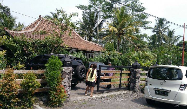 RUMAH GAYA ETNIK JAWA  LINGKUNGAN ASRI DI JALAN  KALIURANG  1