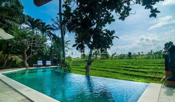 Luxury Freehold Villa Style Modern Balinese Style with View of Eternal Rice Fields in Berawa Canggu  1