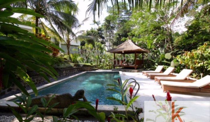 LUXURY VILLA SET ON QUITE AREA COMPLATED BY JUNGLE AND RICE FIELD VIEW UBD213 2