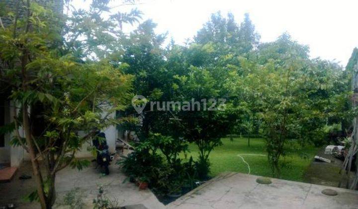 rumah lama nuansa kebun dan nyaman 2