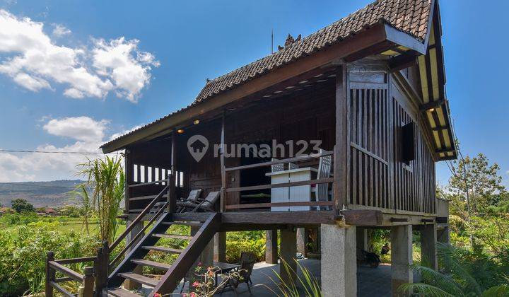 T24 Land for sale in Dencarik near the beach with a bonus wooden house, in North Bali 1