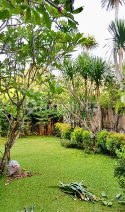 Modern Tropical Bright House With Big Garden Ajh06064 2