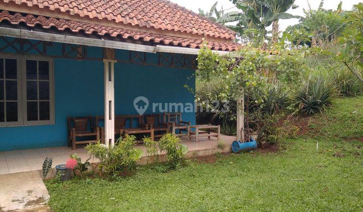 Rumah dan tanah plus empang 4 2