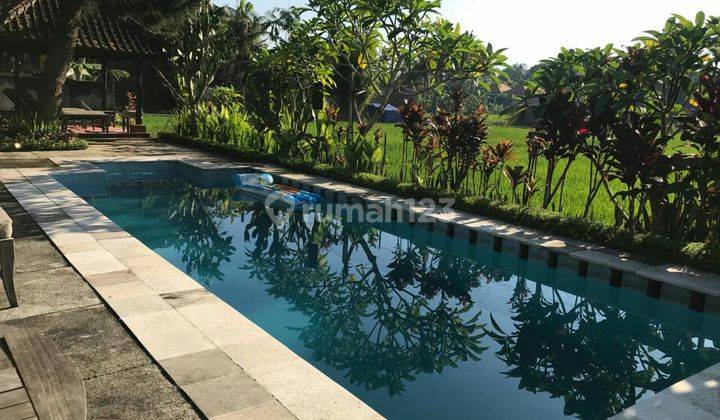 House For Sale / Dijual Villa Mewah Siap Huni Dengan Swimming Pool Lokasi Strategis Di Ubud - Bali 2