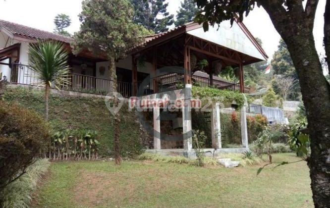 TURUN HARGA!! Villa dengan Peternakan Sapi