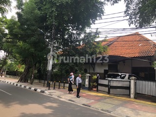 Rumah Asri dan sejuk (NY)