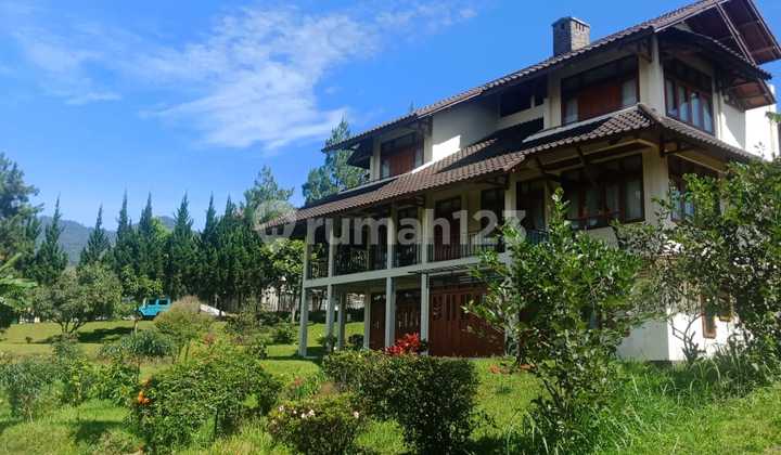 Investasi yang pasti menguntungkan membeli Vila Istana Bunga Investasi yang pasti menguntungkan membeli Vila Istana Bunga