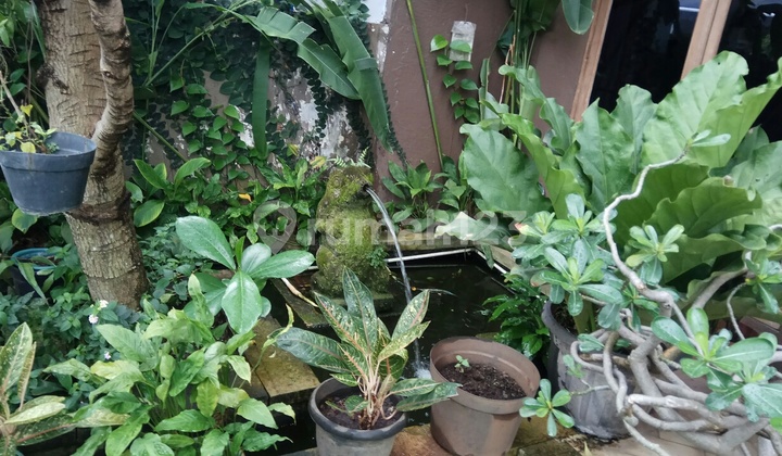 Rumah Siap Huni Lokasi Elite Dekat Pintu Tol 2