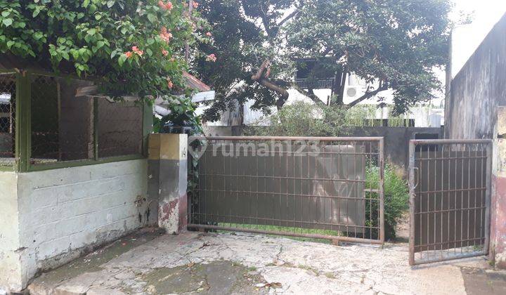 Rumah asri menarik tenang harga murah di jatipadang jakarta selatan 2