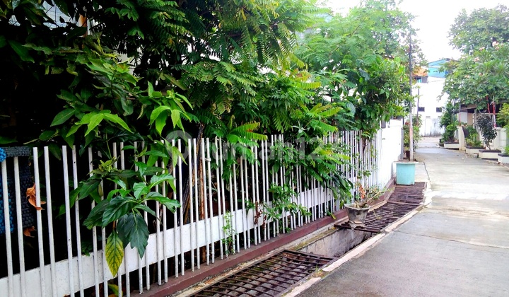 Rumah Tua Jalan Bangka Hitung Tanah Harga Sudah Murah 2