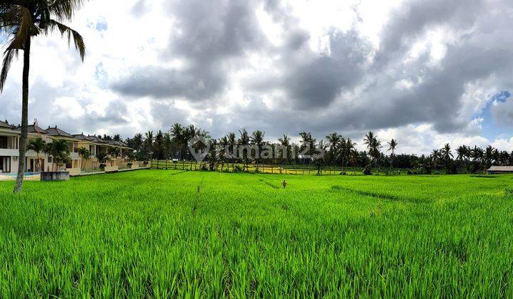 3 Bedroom Villa at East of Ubud Bali 2