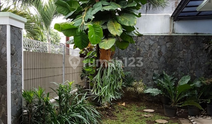 House near UB campus on Bunga Street, good for investment. House near UB campus on Bunga Street, good for investment.