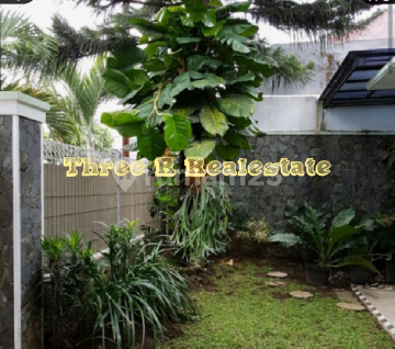 House near UB campus on Bunga Street, good for investment. House near UB campus on Bunga Street, good for investment.