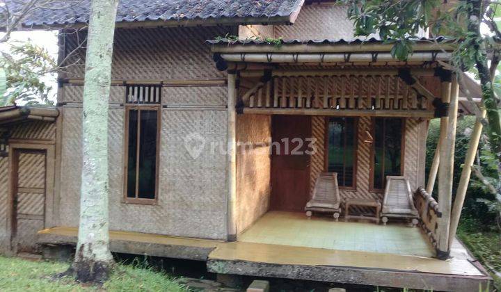 Rumah Villa mungil, Asri dengan halaman Luas 2