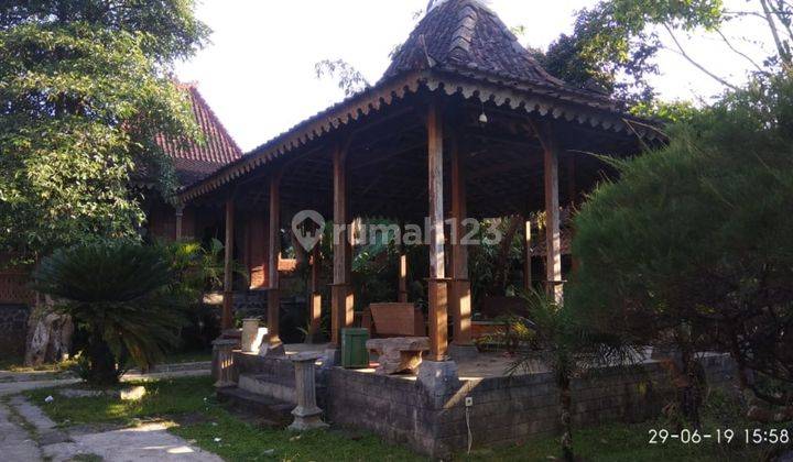 Rumah Joglo keren Siap masuk best price 1