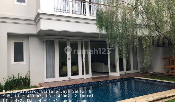 Rumah Mewah Halaman Luas Hijau Asri Kucica Bintaro Jaya Sektor 9 1