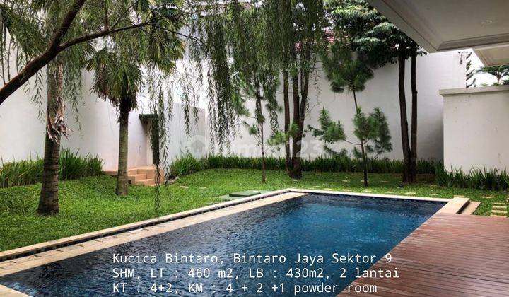 TURUN HARGA! Rumah Mewah Swimming Pool Besar Kucica Bintaro Jaya 1