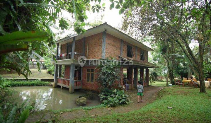 Villa Wisata Alam Situ Udik (WASTU), Cibungbulang, Bogor 2