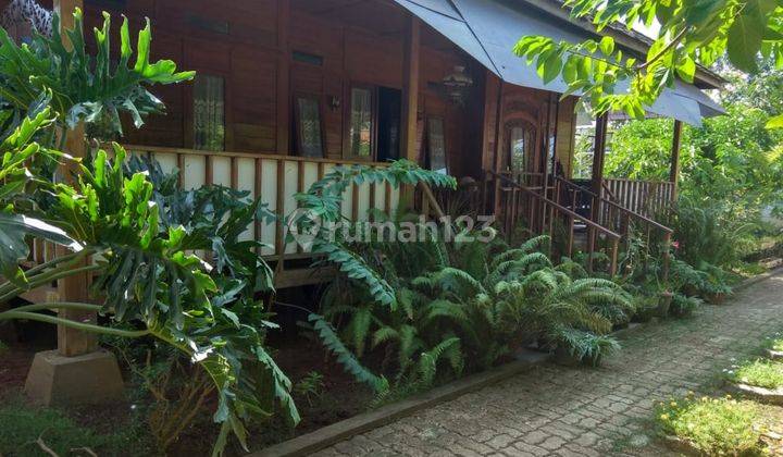 Rumah kebun berbonus Ruko di kawasan asri dan sejuk dgn berbagai macam tanaman buah2 an dgn harga ekonomis . pas di hati pas di kantong 1