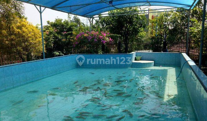 Rumah Nol Jalan Raya Kalijudan Surabaya, Murah Strategis 2