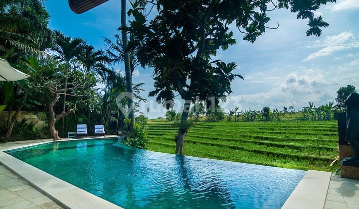 Villa Lux - Lokasi dekat Canggu, Kerobokan (Jl. Pantai Berawa) 2