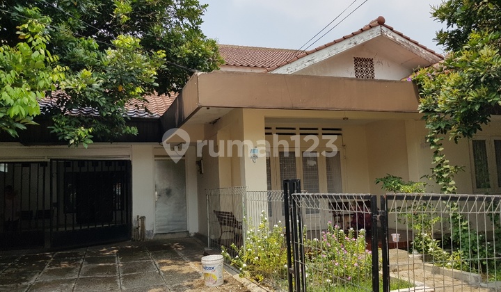 Near the Station and the Bogor Palace in the City Center 2