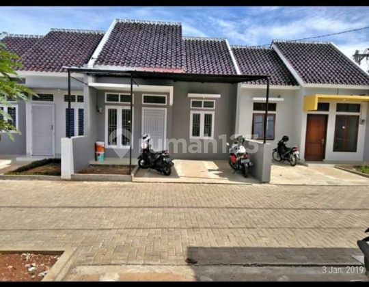 Beautiful, Lush, and Minimalist House