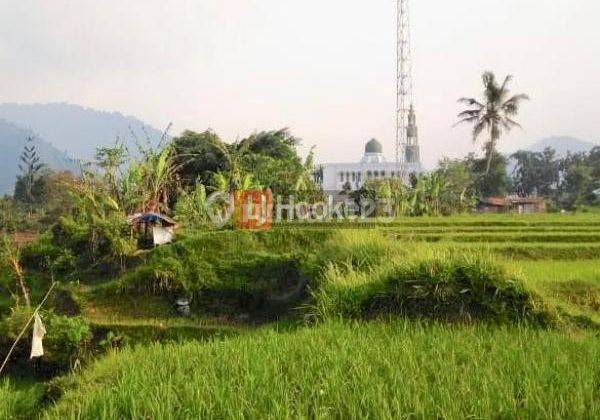 VILLA  ASRI TANAH LUAS DI CIANJUR 1