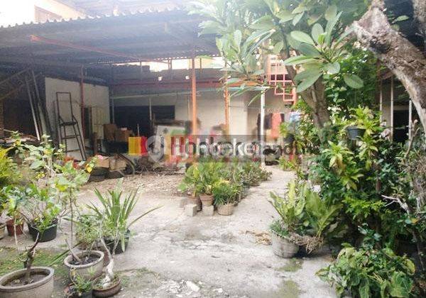 Rumah Lama di Batan Selatan Semarang 2