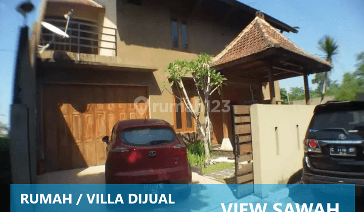 Rumah Villa Murah Kolam Renang Mewah Jogja 1