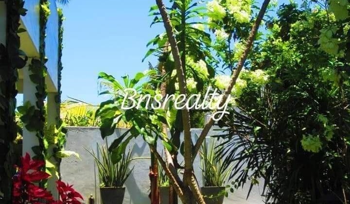 Villa Lokasi Tiying Tutul Pererenan