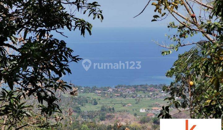 FANTASTIC OCEAN VIEW VILLA WITH SPACIOUS LAND IN LOVINA VL2078 2