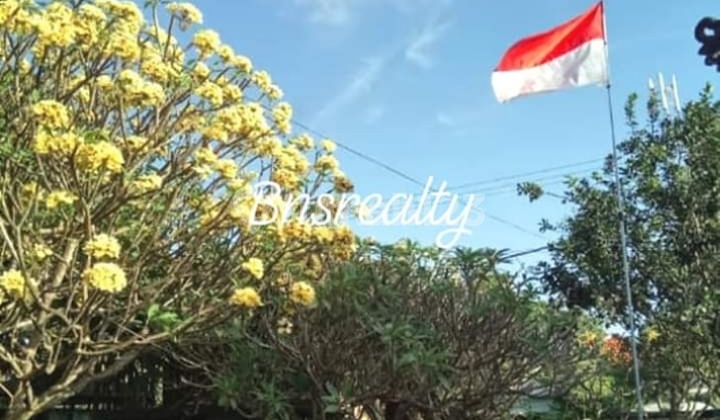 Rumah Lokasi Jalan Pemuda Renon 2