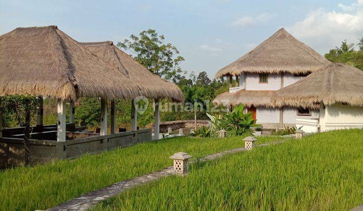 VILLA FOR SALE WITH OCEAN AND RICE FIELD VIEW 1