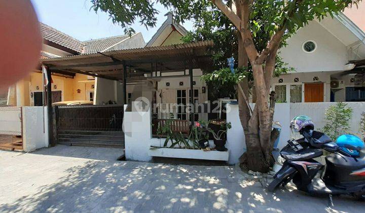 Rumah bagus tengah kota 1