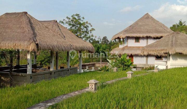 VILLA  WITH OCEAN AND RICE FIELD VIEW 1