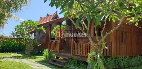 Down prices! Beautiful and Unique Villa in Lodtunduh, Ubud 1