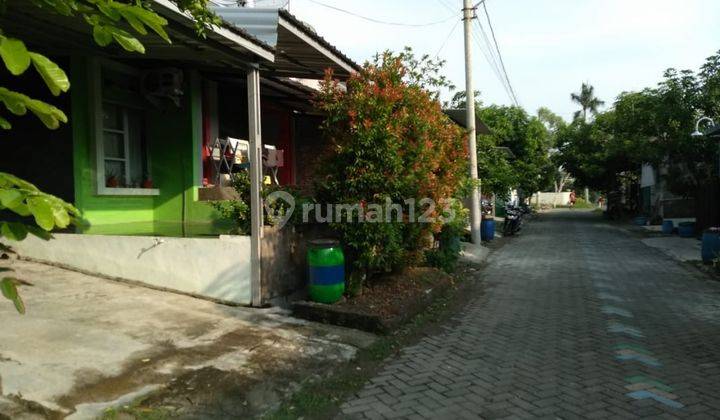 Rumah Tembalang Semarang Murah Sejuk Tenang 1