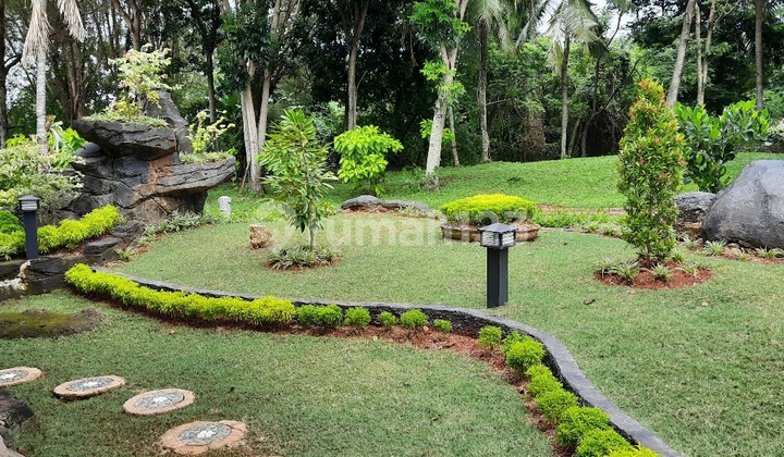 rumah cantik nan asri rumah cantik nan asri