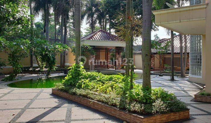 Rumah mewah dengan big pool n big garden 2