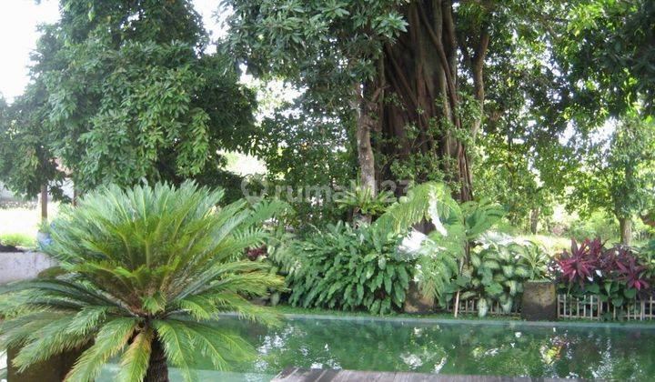 Beautiful Complex Freehold villa near Seminyak and Umalas area in Kerobokan Kuta, Badung Bali 2