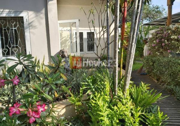 Rumah Cantik Dengan Kolam Renang Halaman Luas di Jl. Gunung Salak Gg. Jepun 2