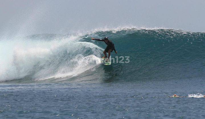 Hotel Backpacker untuk Surfer di Pantai Maluk, Sumbawa Barat 1