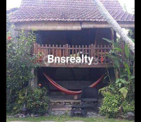 Villa Lokasi Tegallalang 1