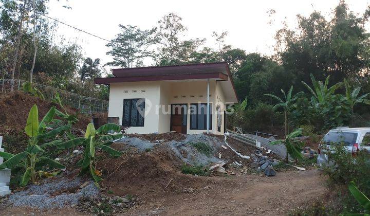 Rumah Mungil Halaman Luas Nuansa Villa 1