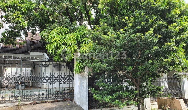 rumah lama bisa utk wisma atau kantor