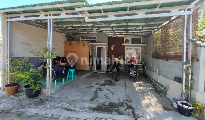 Rumah Siap Huni Algira Jl Cibeureum, Dramaga Bogor Rumah Siap Huni Algira Jl Cibeureum, Dramaga Bogor