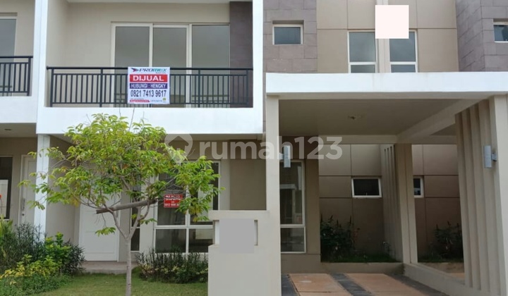 MURAH SE ORCHARD PARK CITRUS