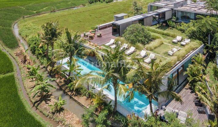 Luxury Villa in canggu with beautiful rice field view 1